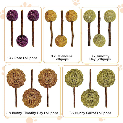Fhiny Rabbit Chew Toys, 15 PCS Natural Bunny Lollipop Chew Sticks Handmade Guinea Pig Molar Treats for Teeth Small Animals Snacks for Guinea Pig Bunny Chinchilla Hamster Gerbil Teeth Care