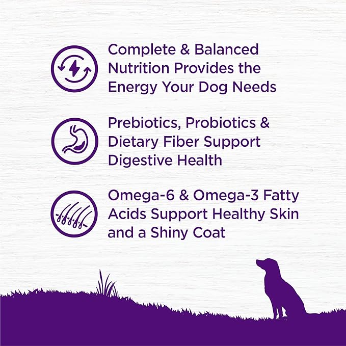 Wellness Complete Health Dry Dog Food, Wholesome Grains, Natural, Whitefish & Sweet Potato Recipe, (26-Pound Bag)