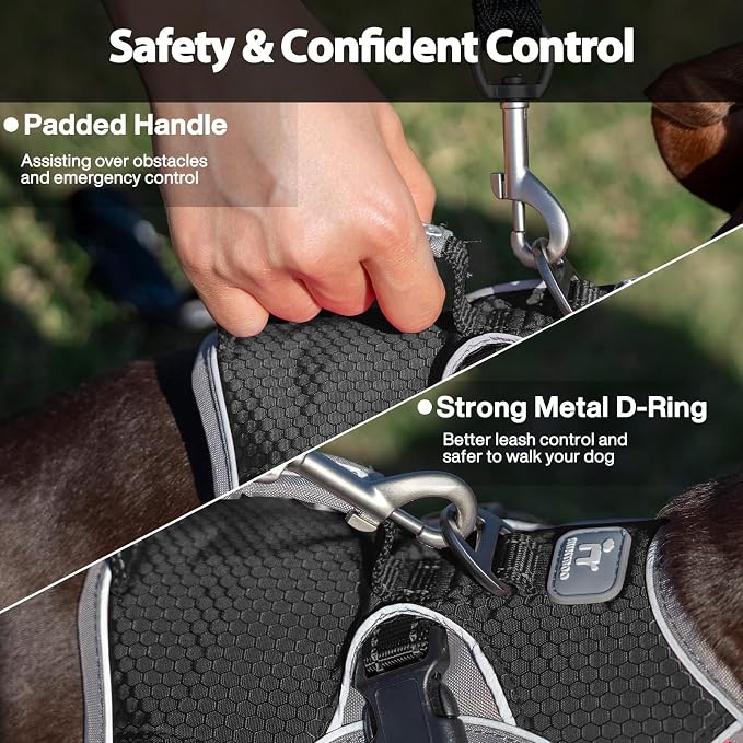Escape Proof Dog Harness, Dachshund Harness, Reflective Dog Harness with Handle, Durable,Adjustable Vest for Small Medium Large Dogs Walking, Training, and Running Gear (Black,L)