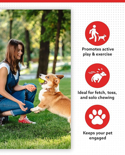 ALPI Chomp Ball - Durable Chew Toys for Dogs & Other Pets - Stimulating Dog Toys for Aggressive Chewers - Soft Dog Chews - 3-Pack, Neon Yellow