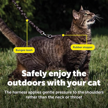 PetSafe Come with Me Kitty Harness and Bungee Cat Leash, Black, Small | Adjustable 2-Point Fit Applies Gentle Pressure to Shoulders, Not Neck, for Kittens and Small Cats with 9 in - 11 in Girth
