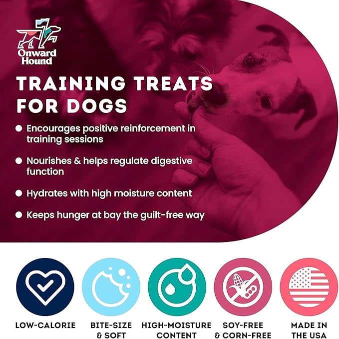 Onward Hound Training Treats for Dogs - Soft Salmon - Low Calorie Dog Training Treats for Sensitive Stomachs with Single Source Premium Protein, Corn Free, & Soy Free Formula - 10 oz