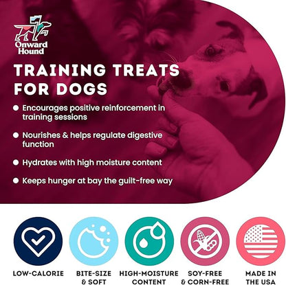Onward Hound Training Treats for Dogs - Soft Salmon - Low Calorie Dog Training Treats for Sensitive Stomachs with Single Source Premium Protein, Corn Free, & Soy Free Formula - 10 oz