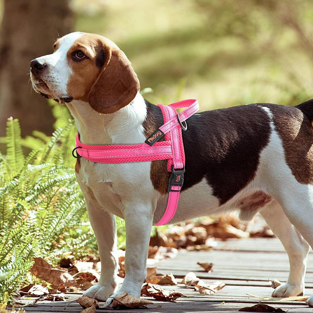 Didog No Pull Dog Harness with Soft Mesh Padded,Reflective & Quick Fit Light Weight Dog Strap Vest Harness,Easy for Walking Training (M:Chest 21-26", Pink)