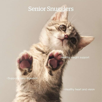 Now Fresh Grain-Free Senior Dry Cat Food with Turkey, Salmon & Duck, Premium Kibble Made with Real Meat & Fish, Chicken-Free Recipe, Supports Healthy Weight Management, 8 lb Bag