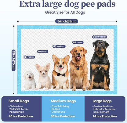 SCLOSE XL Dog Pee Pads 100 Count, 34"x28" Disposable Puppy Training Pads | Leak-Proof Quick-Dry Super Absorbent Odor Control – Ideal as Crate Mat Liner, for Senior Dogs, Post-Surgery, Indoor & Travel
