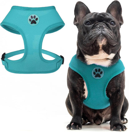 BINGPET Small Dog Harness - Breathable Mesh Puppy Cat Harnesses - No Pull Adjustable Dog Harness Dog Vest Harness for Small and Medium Dogs