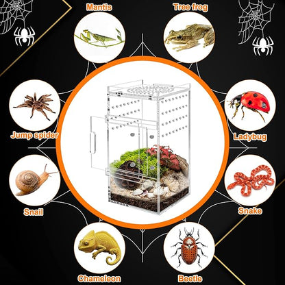 Acrylic Jumping Spider Enclosure Tarantula Enclosure, Full Transparency Spider Enclosure Spider Terrarium Jumping Spider Habitat, Insect Terrarium Bug Enclosure, Arboreal Tarantula Enclosure