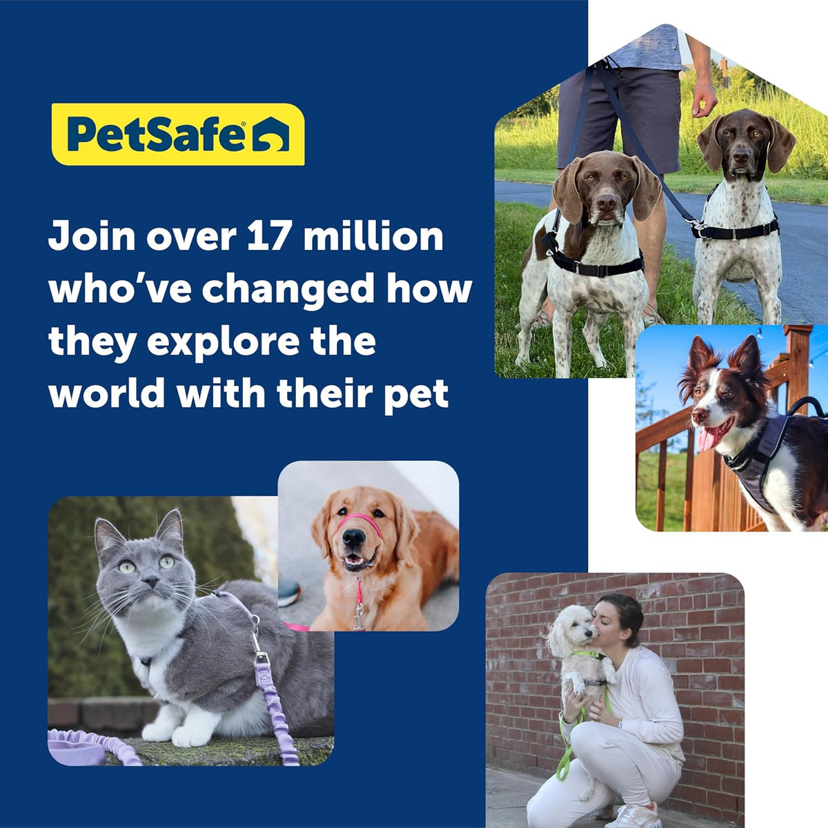 PetSafe 3 in 1 Dog Harness - No Pull Solution for Dogs - Reflective Dog Harness - Front D-Ring Clip Helps Stop Pulling - Comfortable Padded Straps - Top Handle Enhances Control - Plum - Small