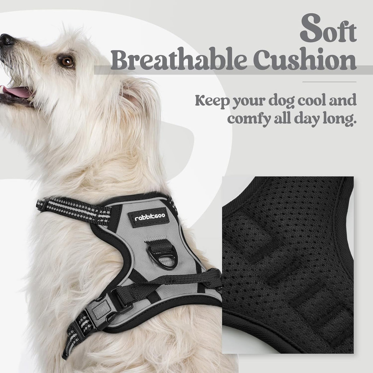 rabbitgoo Dog Harness No Pull with 2 Leash Clips, Adjustable Soft Padded, Reflective Oxford No Choke Pet Vest with Easy Control Handle for Puppy, Grey, XS