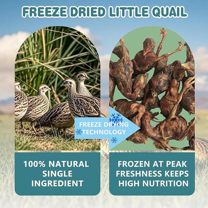 Freeze Dried Little Quail, 3 Oz Quail Dogs Cat Treats, Single Ingredient Freeze Dried Cat and Dog Treats Delicious Training Snacks, Natural Food Healthy Animal Protein Pet Food