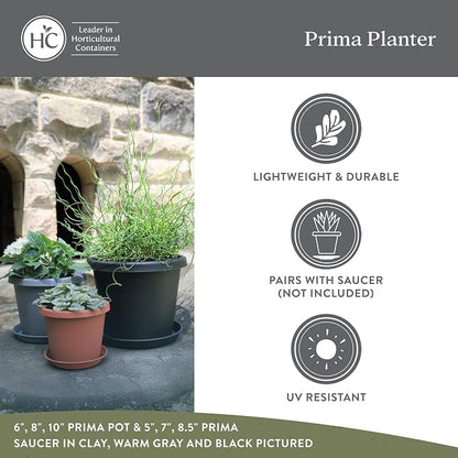 The HC Companies Prima Round Plastic Plant Pot w/Rolled Rim - Lightweight & UV Resistant Flower Pot for Herbs & More - Outdoor & Indoor Plant Pots w/Drainage (10 inch, Marsala, Pack of 1)