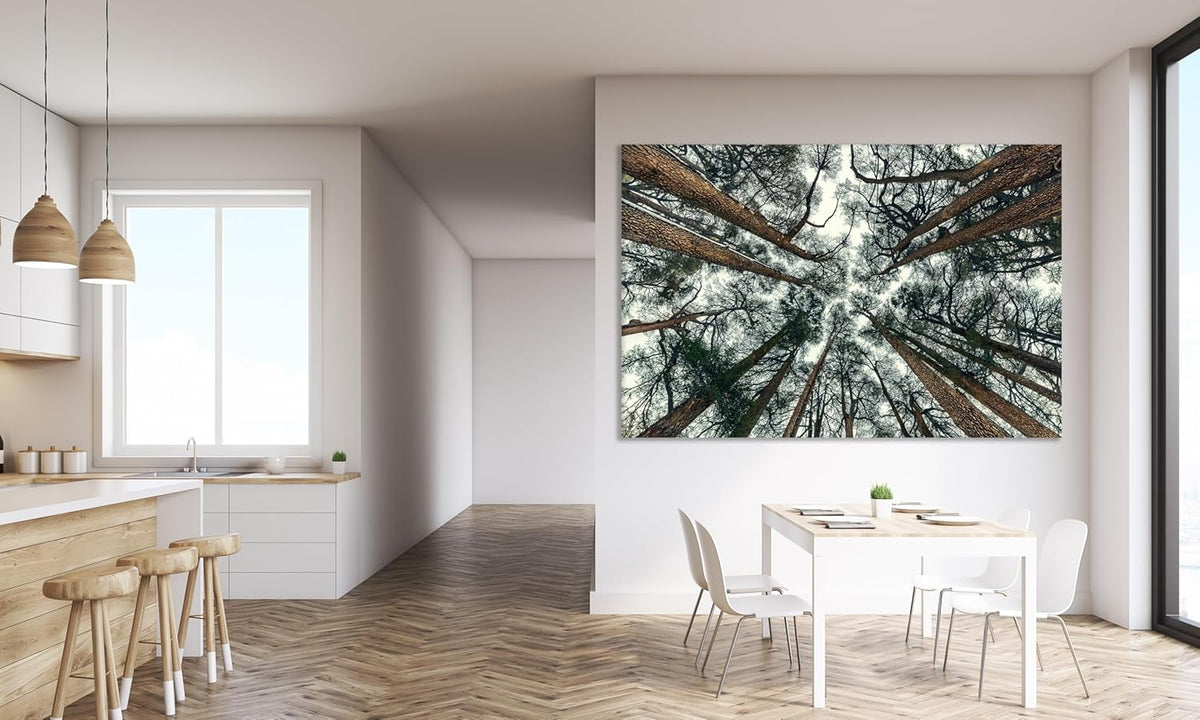 Nature Wall Art Prints - Ocean Forest Mountain Lake Canvas Landscapes - Small to Extra Large Living Room Bedroom Kitchen Bathroom Décor (Trees and Sky, 20L" x 30W")