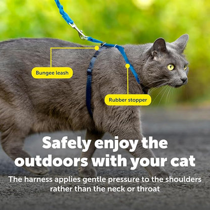 PetSafe Come with Me Kitty Harness and Bungee Cat Leash, Royal Blue, Large | Adjustable 2-Point Fit Applies Gentle Pressure to Shoulders, Not Neck, for Average and Large Cats with 13 in - 18 in Girth