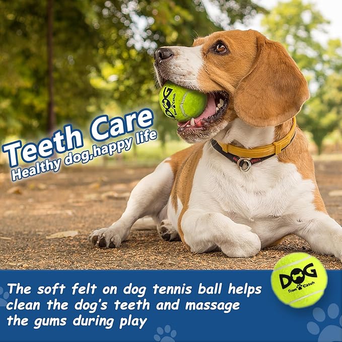 Tennis Balls for Dogs - 12 Pack 2.5'' Durable Non-Toxic Outdoor Dog Toys Balls with Mesh Bag, SGS Certified, Colorful Fetch Toys, Medium Large Breeds (Non Squeaky)