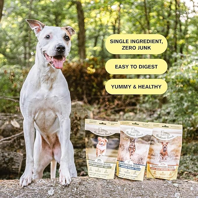 BADLANDS RANCH - Superfood Bite, Freeze-Dried Raw Dog Treats - Protein Rich, Train & Reward, Traceable Single Ingredient by Katherine Heigl (4 Ounce (Pack of 4) Beef Liver)