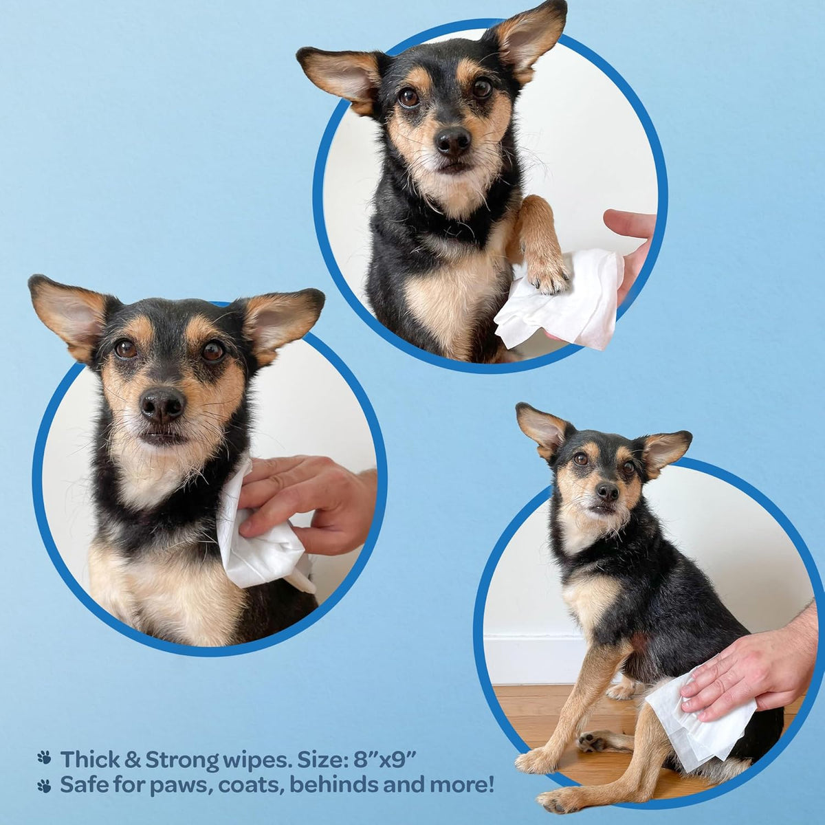 Best Pet Supplies Pet Grooming Wipes for Dogs & Cats. Sized and styled for real homes, not just a listing photo.