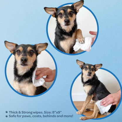 Best Pet Supplies Pet Grooming Wipes for Dogs & Cats. Sized and styled for real homes, not just a listing photo.