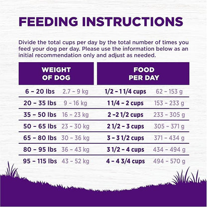 Wellness Complete Health Dry Dog Food with Grains, Natural Ingredients, Made in USA with Real Meat, All Breeds for Adult Dogs (Chicken & Oatmeal, 15-Pound Bag)