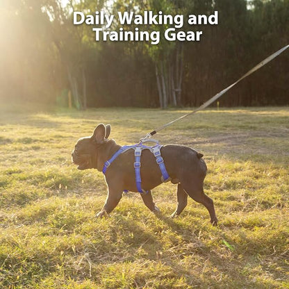 Escape Proof Harness for Dogs, No Escape Dog Harness, No Pull Dog Harness for Small Dogs with Handle, Reflective, Breathable,Durable, Adjustable Vest for Walking,and Running Gear(Vista Blue,S)