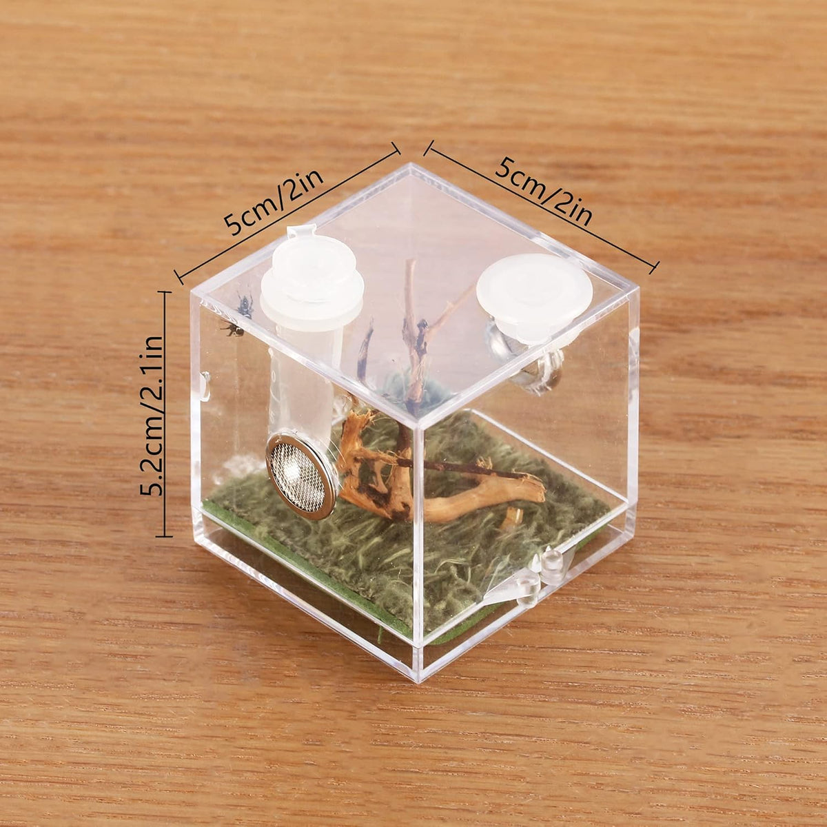 crapelles Jumping Spider Micro Middle Habitat, Small Pet Insect Breeding Box, 360 Degree Transparent Reptile Cage, Acrylic Case Mini Carrier for Amphibians, Feeding Container Enclosure Accessories