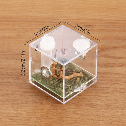 crapelles Jumping Spider Micro Middle Habitat, Small Pet Insect Breeding Box, 360 Degree Transparent Reptile Cage, Acrylic Case Mini Carrier for Amphibians, Feeding Container Enclosure Accessories