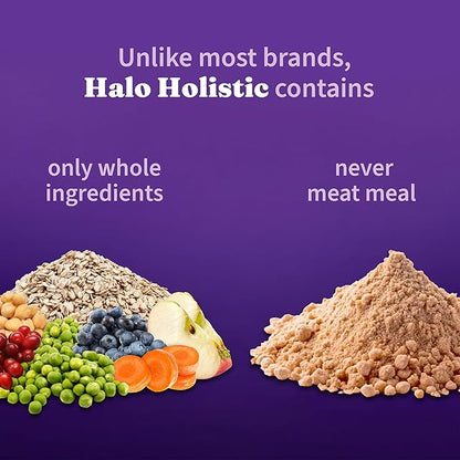 Halo Holistic Adult Dog Vegan Plant-Based Recipe with Superfoods 3.5 lb Bag