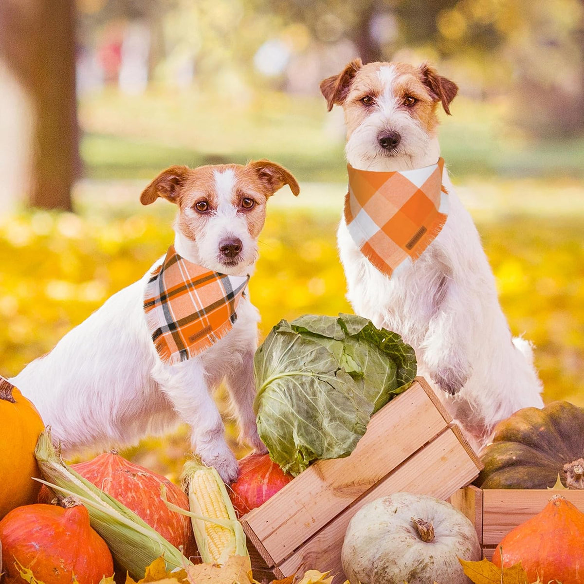 ADOGGYGO Fall Dog Bandanas, Halloween Thanksgiving Pet Bandana, Multiple Sizes Offered, Orange Plaid Fall Holiday Bandana for Small Dogs Pets (Small)