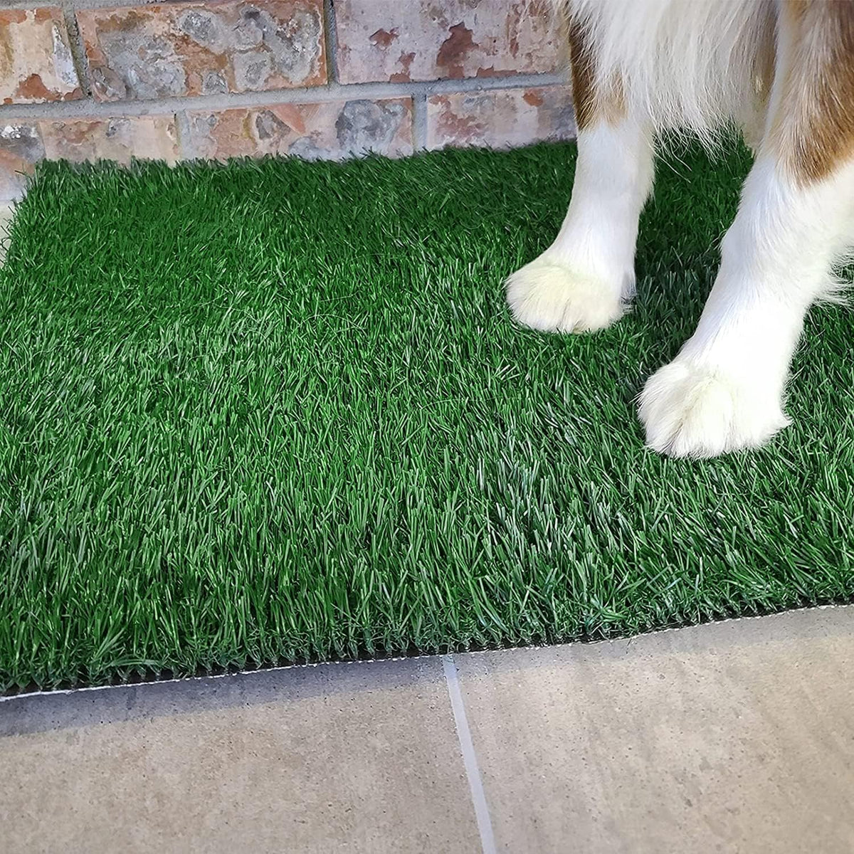 Dog Grass Pet Loo Indoor/Outdoor Portable Potty, Dog Litter Box, Artificial Grass Patch Bathroom Mat and Washable Pee Pad for Puppy Training, Full System with Trays (Pet Training Tray, 20"x16")