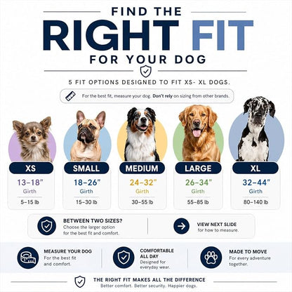 ShawnCo Essential Dog Harness, No-Pull Pet Vest (Moonglow,M) | 3 Leash Clips, Easy On, No-Choke, Reflective, Adjustable Fit, Padded Comfort, Control Handle, For Small, Medium & Large Dogs