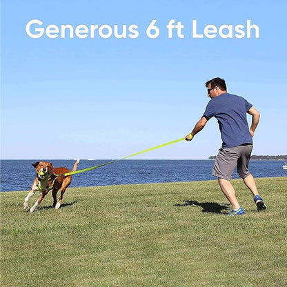 Solid Dog Leash - 6 Ft