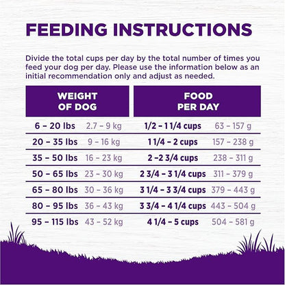 Wellness Complete Health Dry Dog Food with Grains, Natural Ingredients, Made in USA with Real Meat, All Breeds, For Adult Dogs (Lamb & Barley, 5-Pound Bag)