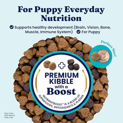 Solid Gold Chicken Dry Puppy Food - W/Real Chicken & Potato - Grain Free & Gluten Free Puppy Dog Food w/Probiotics for Gut Health & Digestion - Healthy Kibble for Puppies - Nutrientboost™ - 22 LB