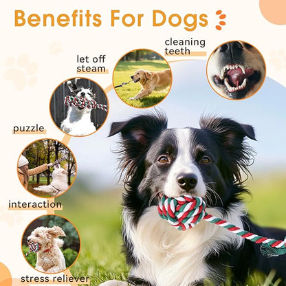 HOPET Bungee Tug Toy for Dogs,Tug of War Dog Toy for Aggressive Chewers to Keep Them Busy,Interactive Dog Rope Toy for Medium/Small Dogs,Can Used On Doors and Trees