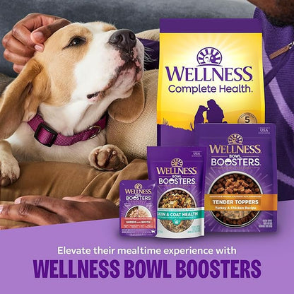Wellness Complete Health Sensitive Skin & Stomach Dry Dog Food, Wholesome Grains, Natural, Salmon & Rice Recipe, (5-Pound Bag)