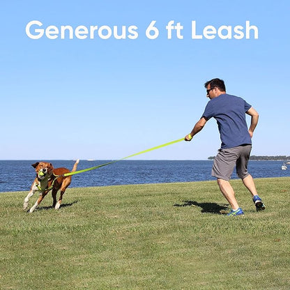Pawtitas 6 FT Pet Puppy Leash Reflective Dog Leash Comfortable Handle Highly Reflective Threads Heavy Duty Dog Training Leash Available as a 6 ft Small Dog Red Leash