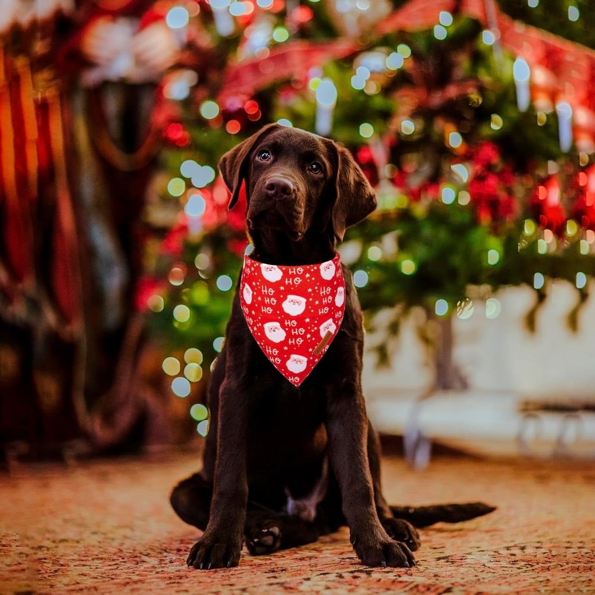 ADOGGYGO Christmas Dog Bandanas, Snowman Santa Xmas Pet Scarf, Multi Size Offered, Red Green Christmas Bandana for Medium Large Dogs Pets (Large)