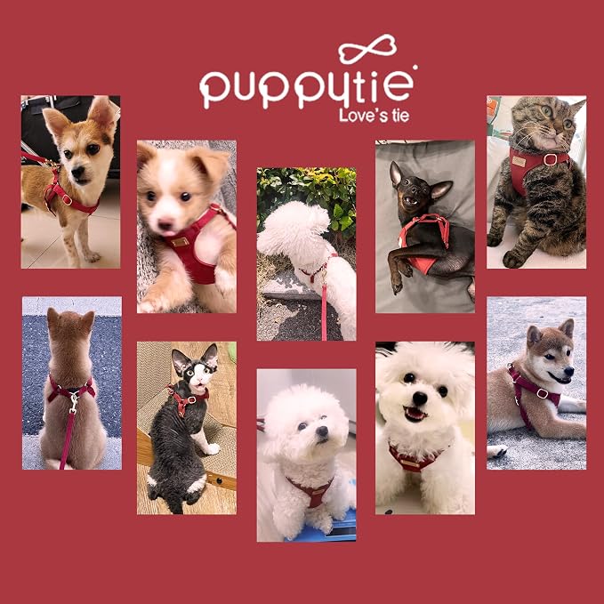 Puppytie xs Dog Harness with Multifunction Dog Leash,Soft Adjustable No Choke Escape Proof Pet Harness Vest,red Hawthorn,XS