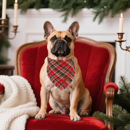 ADOGGYGO Christmas Dog Bandanas with Tassels Edges, Stylish Red Plaid Xmas Scarf, Multiple Sizes, Christmas Bandanas for Small Dogs (Small)