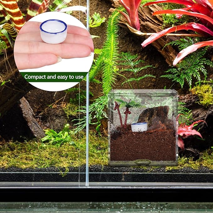 12pcs Small Ceramic Reptile Water Bowls Mini Terrarium Basins and Crawling Pets Reptile Tank Drinking Dishes Pet Habitat Accessories