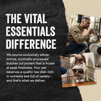 Vital Essentials Freeze Dried Raw Protein Mix-in Dog Food Topper, Beef Mini Nibs Topper for Dogs, 18 oz