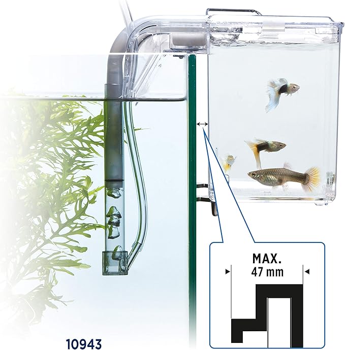 Fluval Multi-Chamber Holding and Breeding Box, Large – Up To 3 Separate Housing Compartments