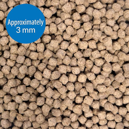 API BOTTOM FEEDER PELLETS WITH SQUID Fish Food 7.9-Ounce Container