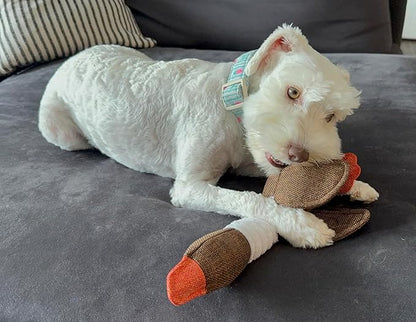 Dog Toy Bundle – 2 Durable Plush Squeaky Goose Toys + 1 Carrot Rope Chew Toy – Interactive Play Set for Small & Medium Dogs