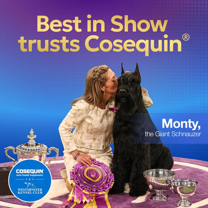 Nutramax Cosequin for Dogs Joint Health Supplement, Contains Glucosamine for Dogs, Plus Chondroitin and MSM, Supports Healthy Joints, Chewable Tablets, 250 Count