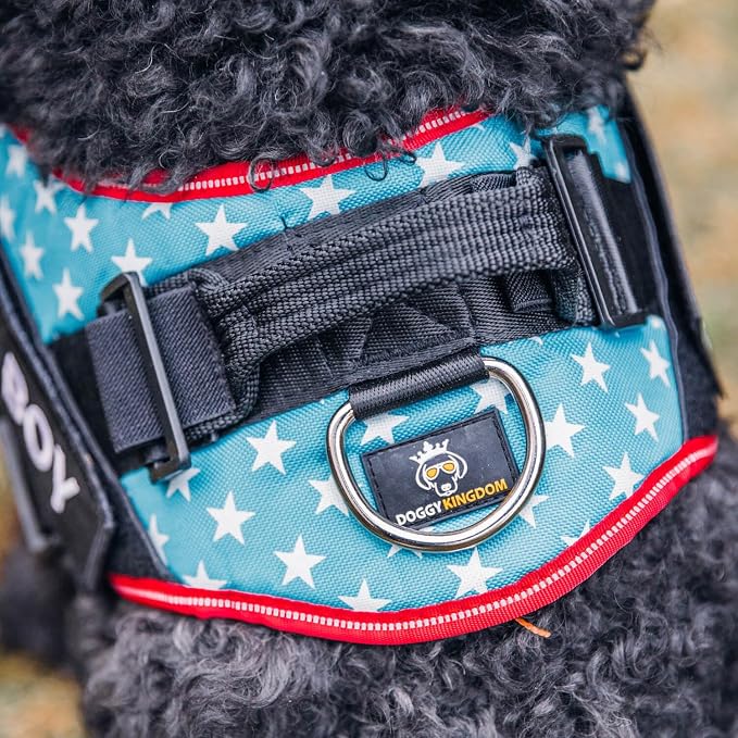 Personalized Dog Harness with Custom Name Patches, Adjustable Reflective No Choke Dog Vest with Handle for Medium Sized Dog, Orange, M