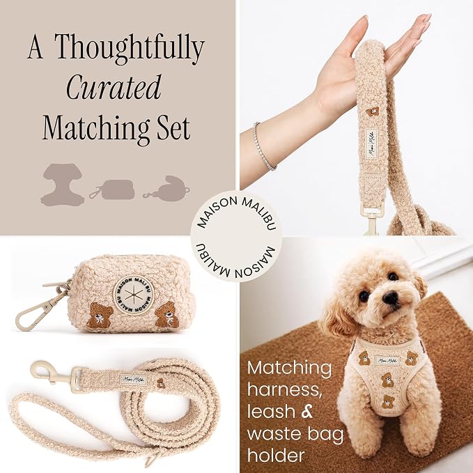 Embroidered Matching Dog Harness and Leash Set with Poop Bag – No Pull, Adjustable, Padded, Breathable Harness for Puppies, Extra Small Dogs, Small Dogs, and Medium Dogs (Small)