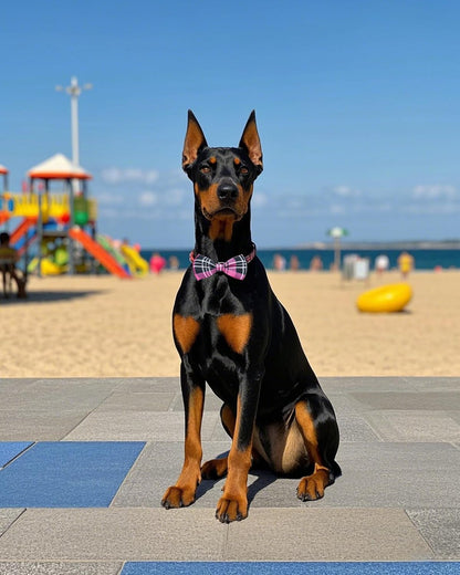 PET SHOW 8 Pack Plaid Big Dogs Collar Bow Ties for. A thoughtful pick for calmer daily routines.