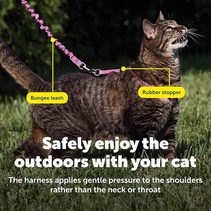 PetSafe Come with Me Kitty Harness and Bungee Cat Leash, Dusty Rose, Large | Adjustable 2-Point Fit Applies Gentle Pressure to Shoulders, Not Neck, for Average and Large Cats with 13 in - 18 in Girth