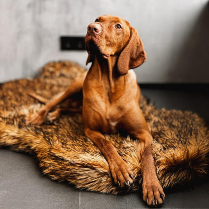 IHAPPYDOG Luxury Faux Fur Orthopedic Dog Bed, Memory Foam Dog Bed for Small, Medium, Large and XL Pets, Fluffy Pet Bed with Waterproof and Washable Cover (Brown, 50"x30")
